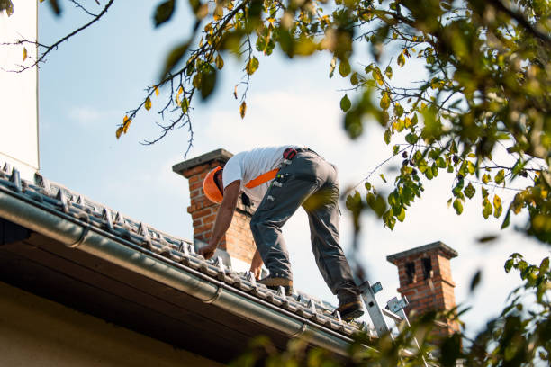 Best Roof Restoration Services  in Moorefield, WV