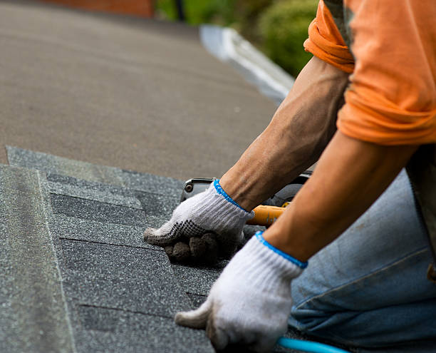 Best Storm Damage Roof Repair  in Moorefield, WV